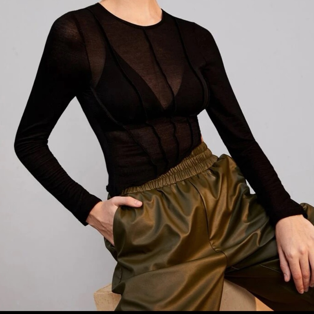 Sheer Long Sleeve Crop Top